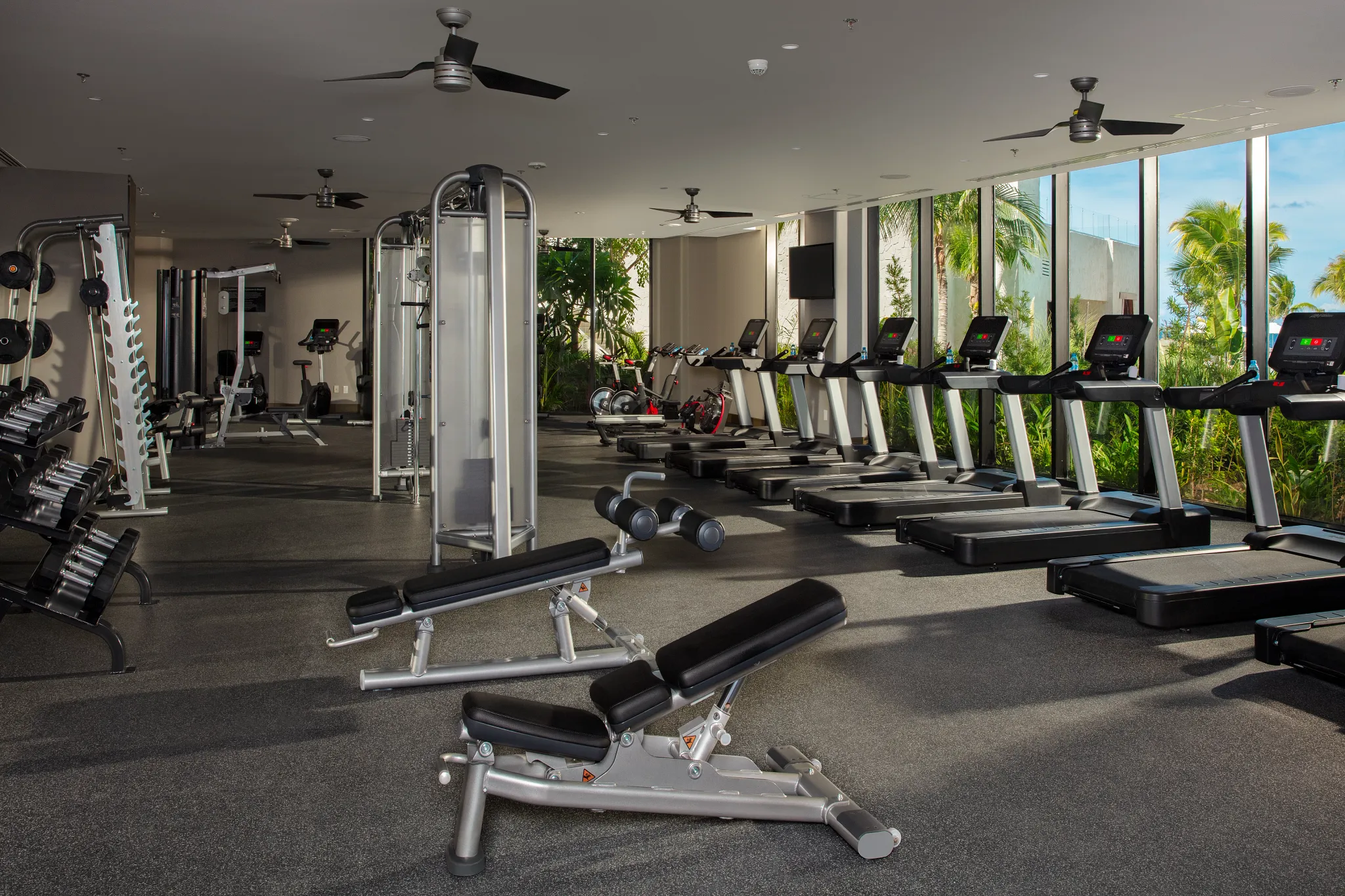 Modern fitness center with cardio machines and weights at Dreams Natura Resort & Spa overlooking tropical greenery.